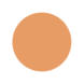 Cantaloupe Color